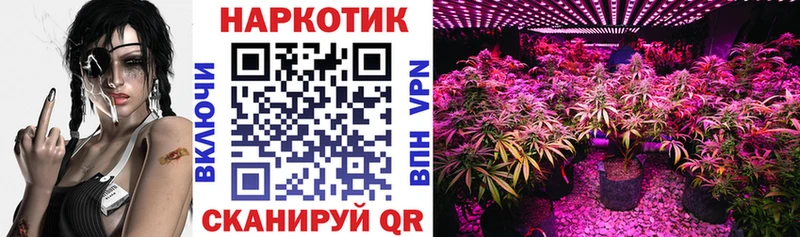 Наркошоп купить Псилоцибиновые грибы  Меф  A-PVP  ГАШ  АМФЕТАМИН  COCAIN  Канабис  Озёры